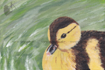 Brievenbuskunst schilderij Klein eendje